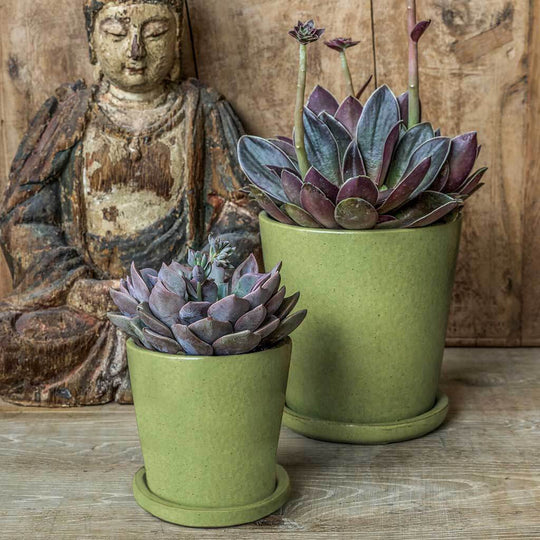 https://campaniainternational.com/cdn/shop/products/4704-19416-nikki-planter-cold-painted-glazed-kelp-green_540x.jpg?v=1701734726