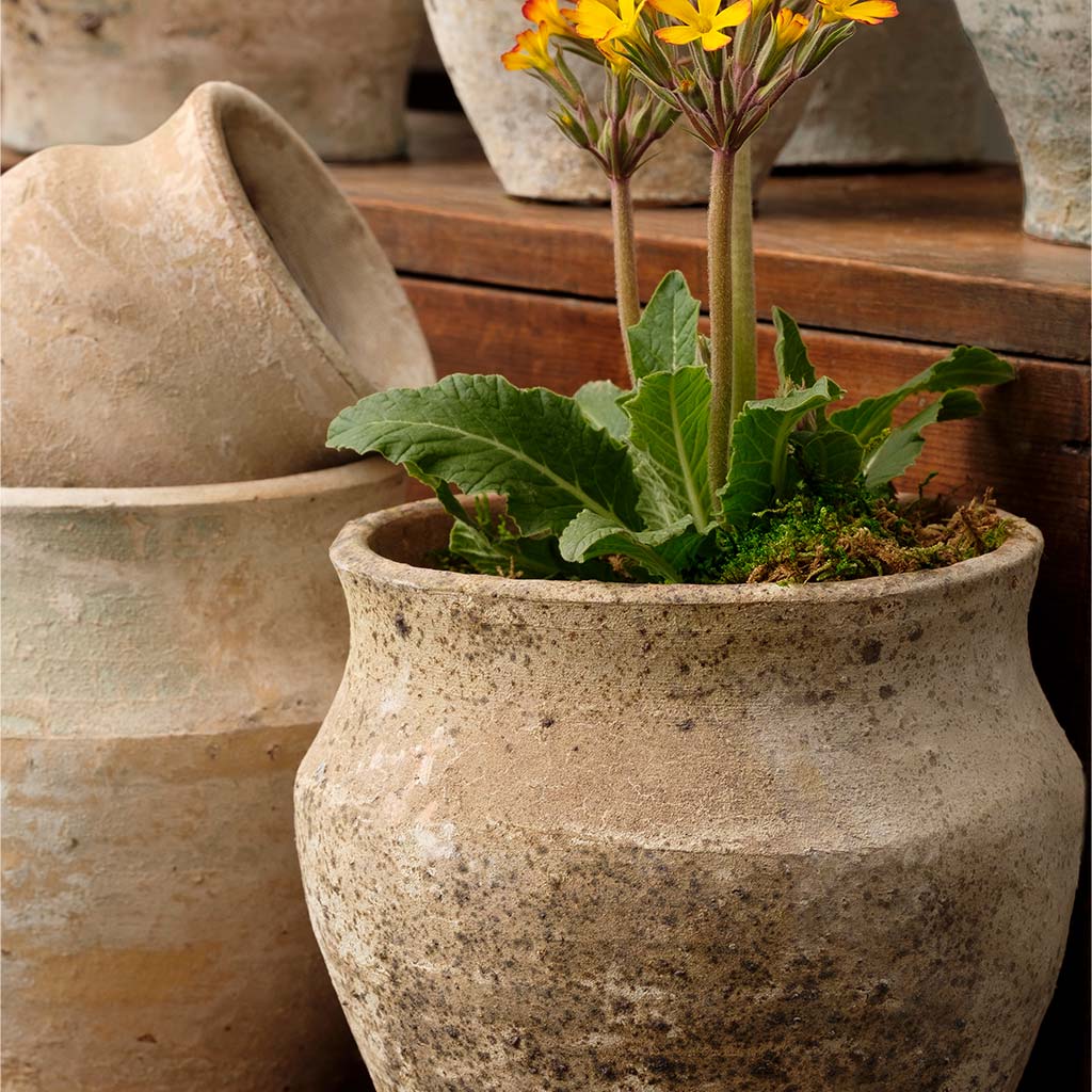 Vicolo Urn Collection || Assorted