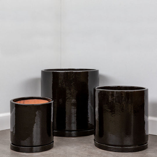 I/O Cylinder || Cola