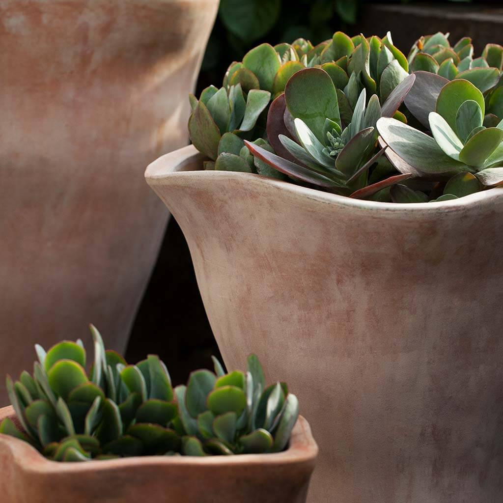 Campania International Foxglove Tall Planter - Thumbnail 2