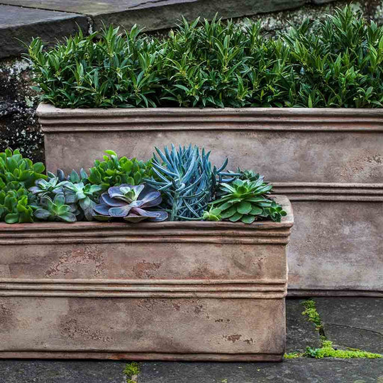 Classic Planters | shop-campania Classic Planters | shop-campania