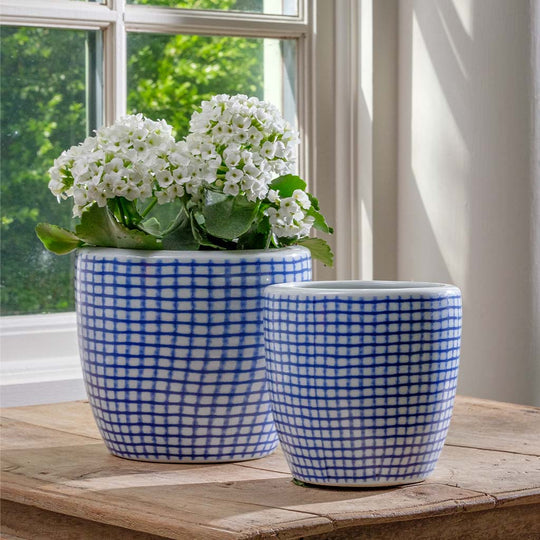 Tattersall Planter || Blue and White Mix