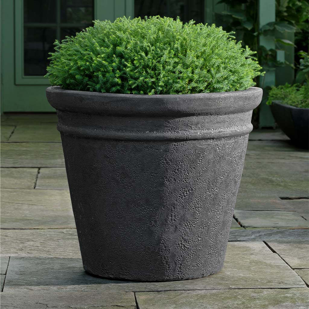 Marchand Planter || Volcanic Coral