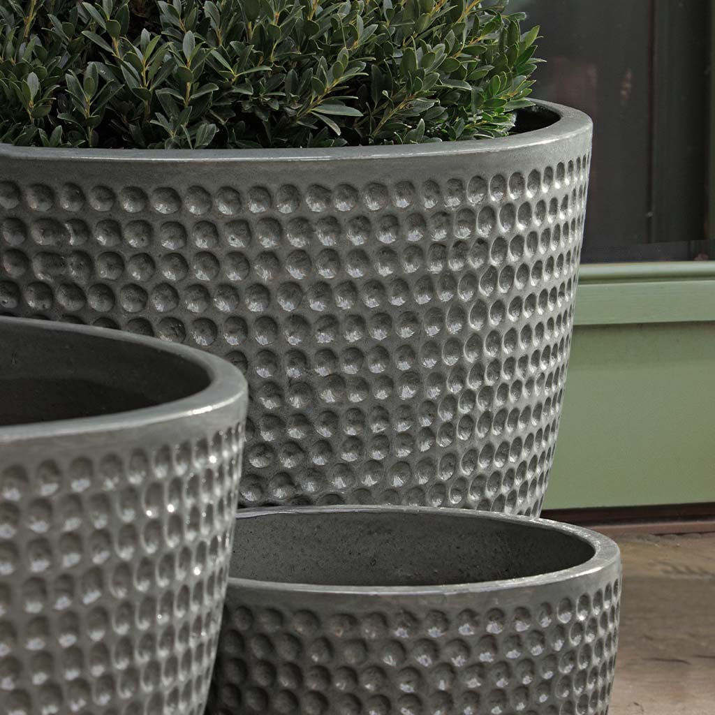 Coin Pot || Pewter Green