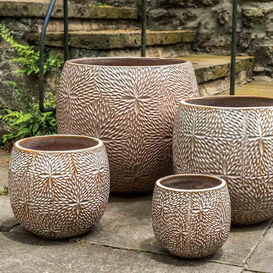 Sand Dollar Planter || Café Au Lait