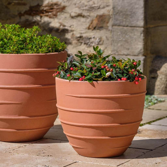 Logis Planter, Short || Terra Rosa