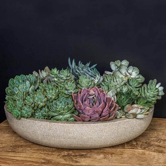 Playa Bowl, Large || Playa