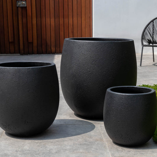 Sandos Planter || Playa Noche