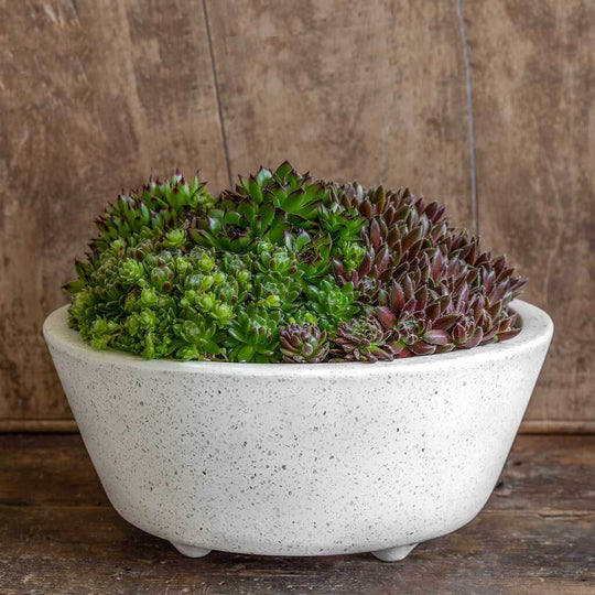 Geo Round Footed Planter || Terrazzo White