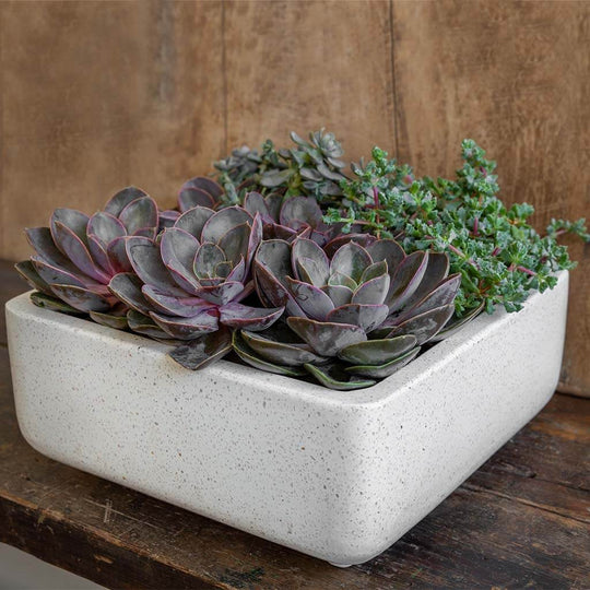 Geo Square Footed Planter || Terrazzo White