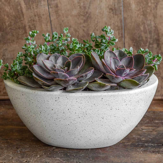 Geo Oval Bowl || Terrazzo White
