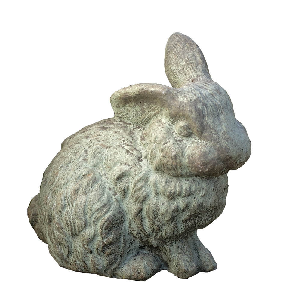 Rabbit With - 1 Ear Up