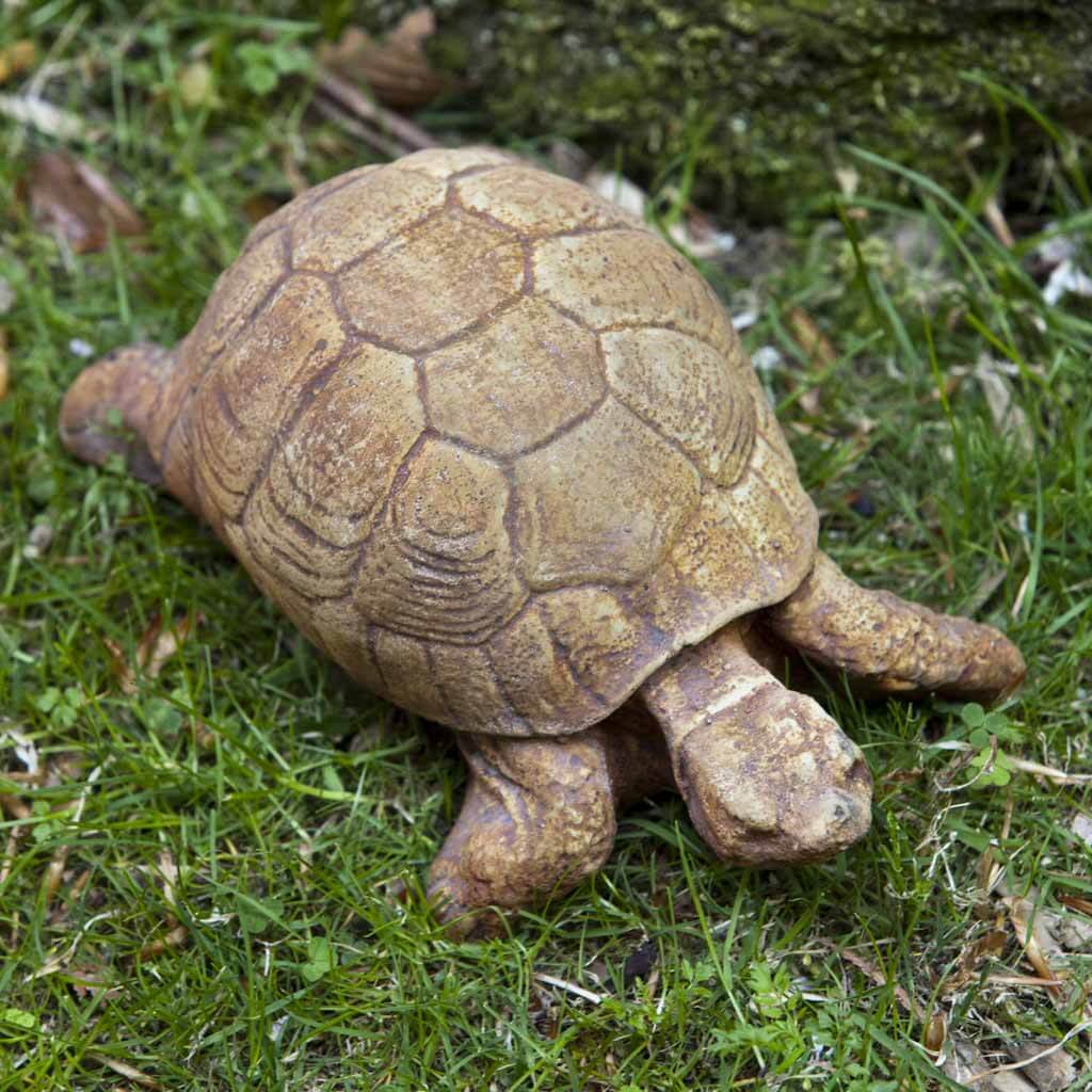 Campania International Small Turtle Statue - Thumbnail 4