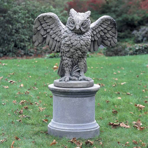 Soaring Owl | shop-campania