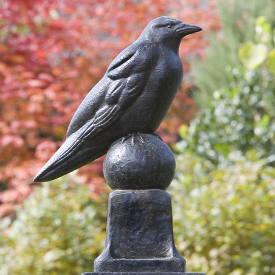 Raven