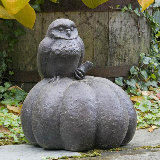 Owl on Pumpkin