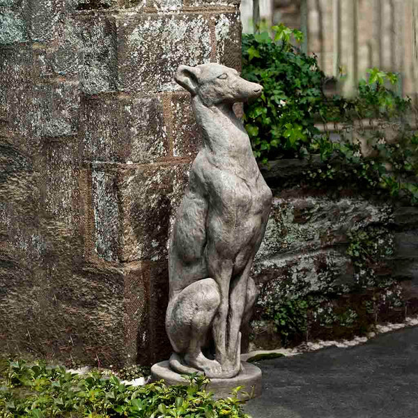 Antique Greyhound | shop-campania