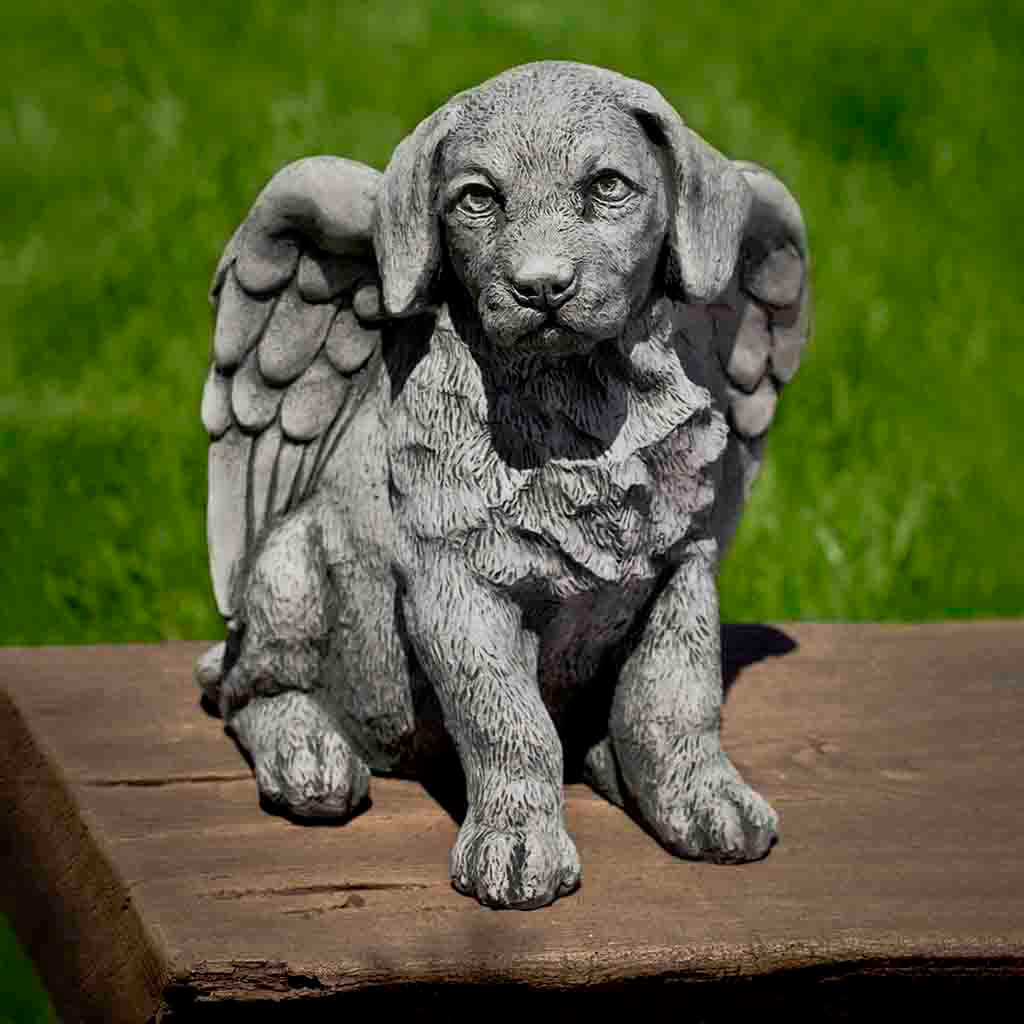 Angel Puppy
