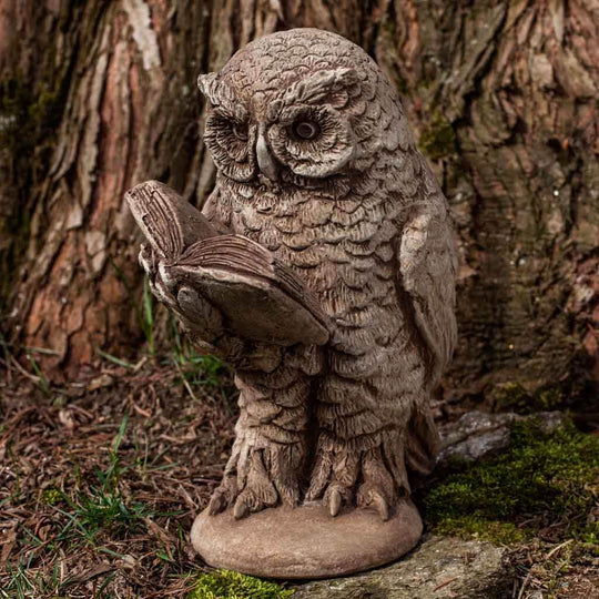 Scholarly Owl