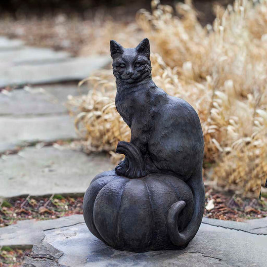 Cat on Pumpkin