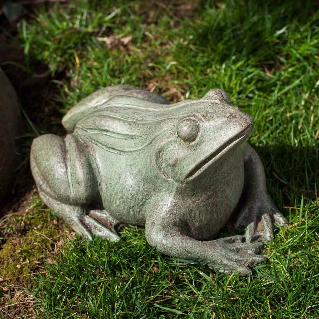 Woodland Frog