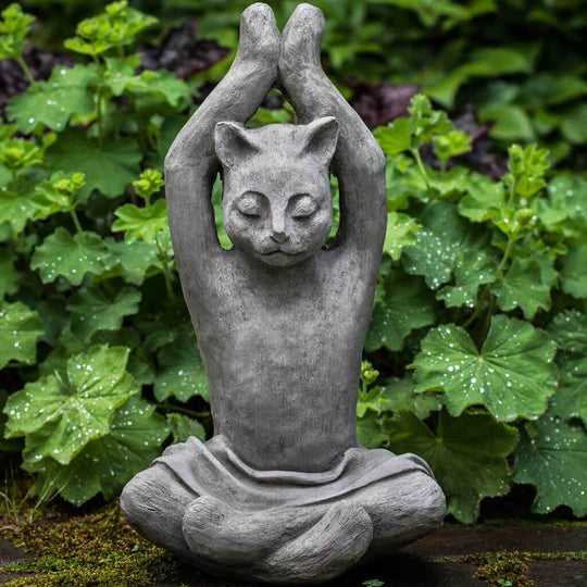 Yoga Cat