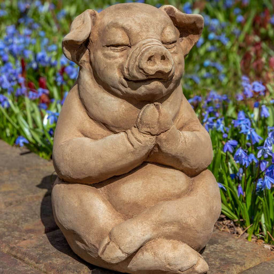 Zen Pig