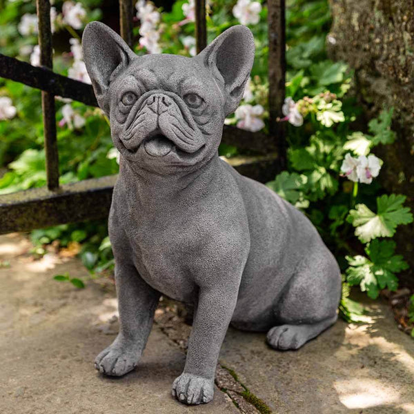 Frenchie | shop-campania