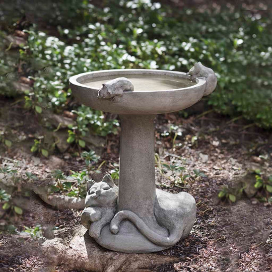 Catnap Birdbath