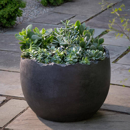 Broken Egg Planter - Grade AA