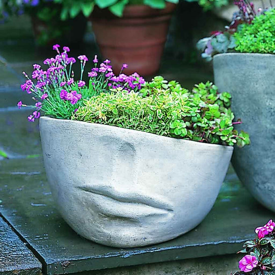 Faccia Planter - Medium