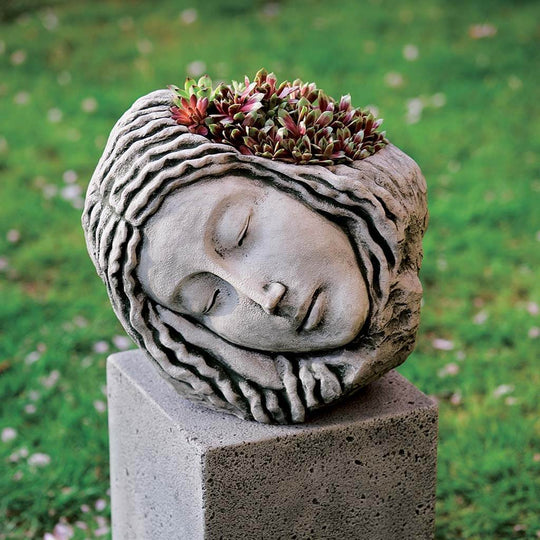 Sleeping Maiden Planter
