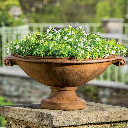 Medici Planter - Small
