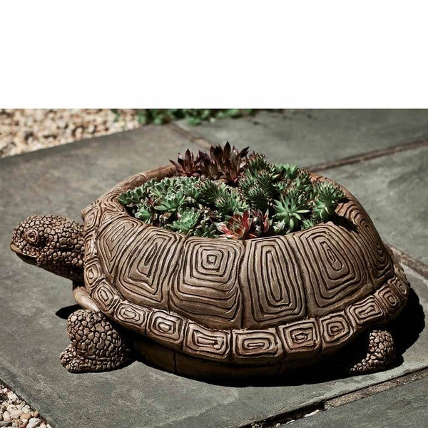 tortoise succulent planter Turtle Planter