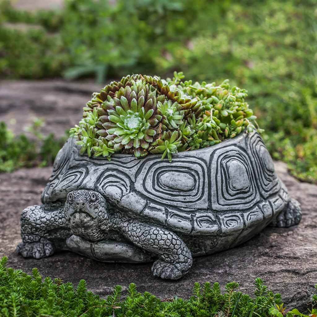 Turtle Planter - Small