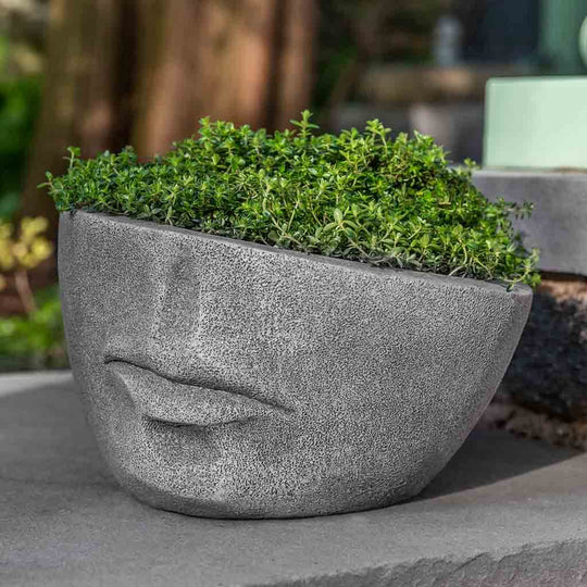 Faccia Planter, Extra Small