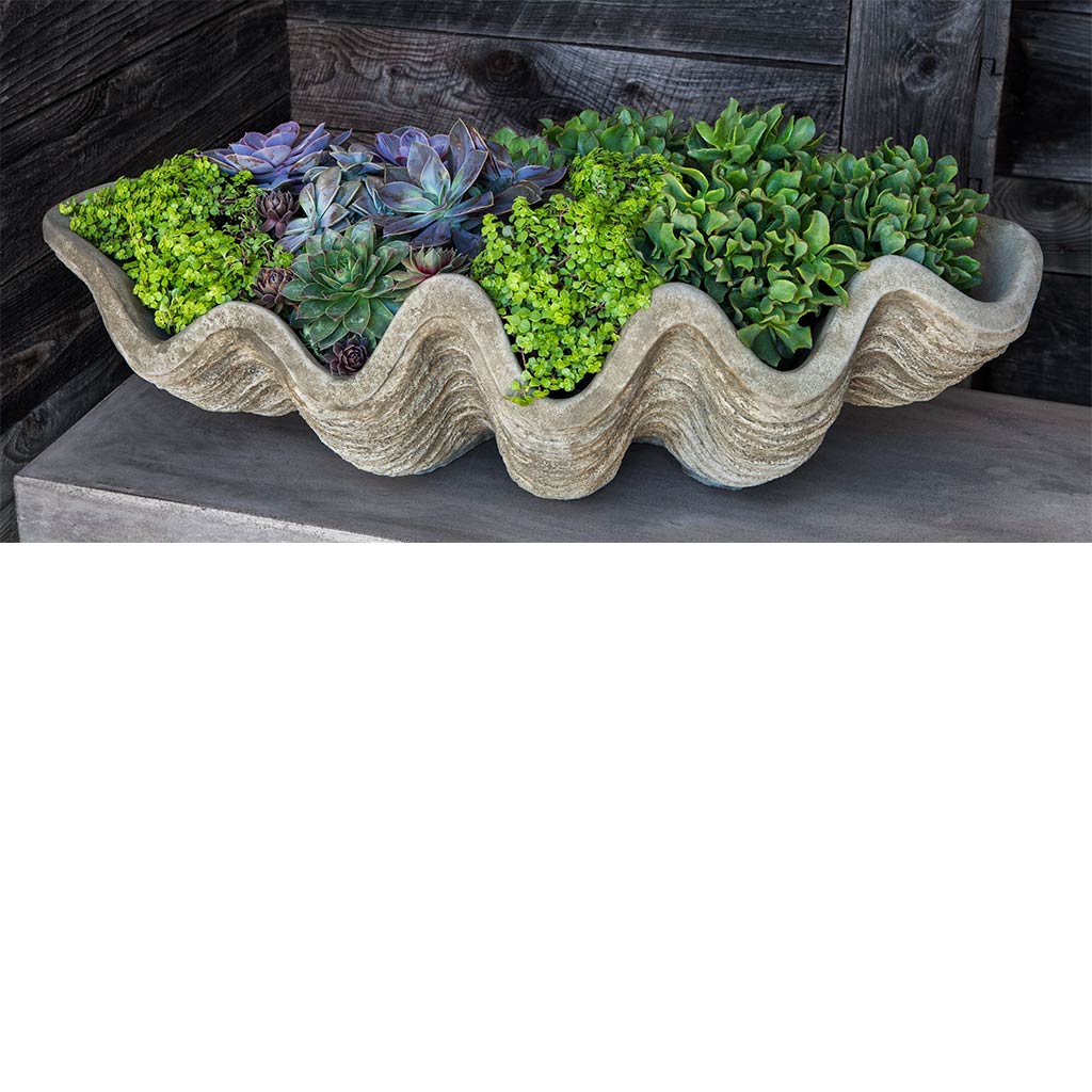 Shell Effect Planter South Seas Shell Planter - Large | shop-campania